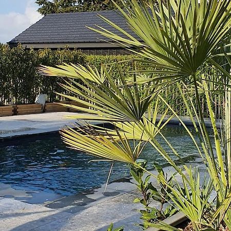 Sart  Pine Cottage- 5 Minutes Francorchamps - Charme -Piscine-Calme-Jardin מראה חיצוני תמונה