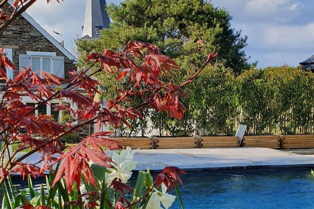 Sart  Pine Cottage- 5 Minutes Francorchamps - Charme -Piscine-Calme-Jardin מראה חיצוני תמונה