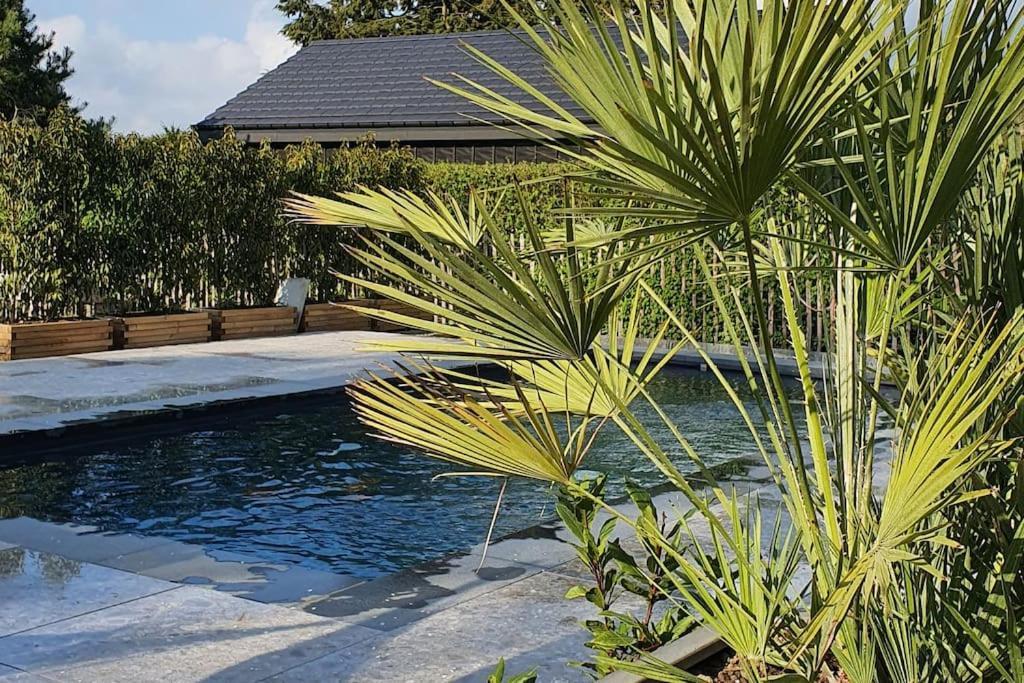 Sart  Pine Cottage- 5 Minutes Francorchamps - Charme -Piscine-Calme-Jardin מראה חיצוני תמונה